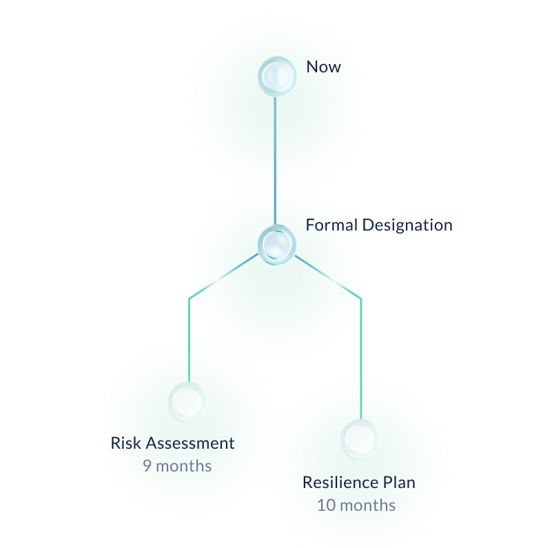 CER timeline from formal designation to risk assessment after 9 months and resilience obligations after 10 months