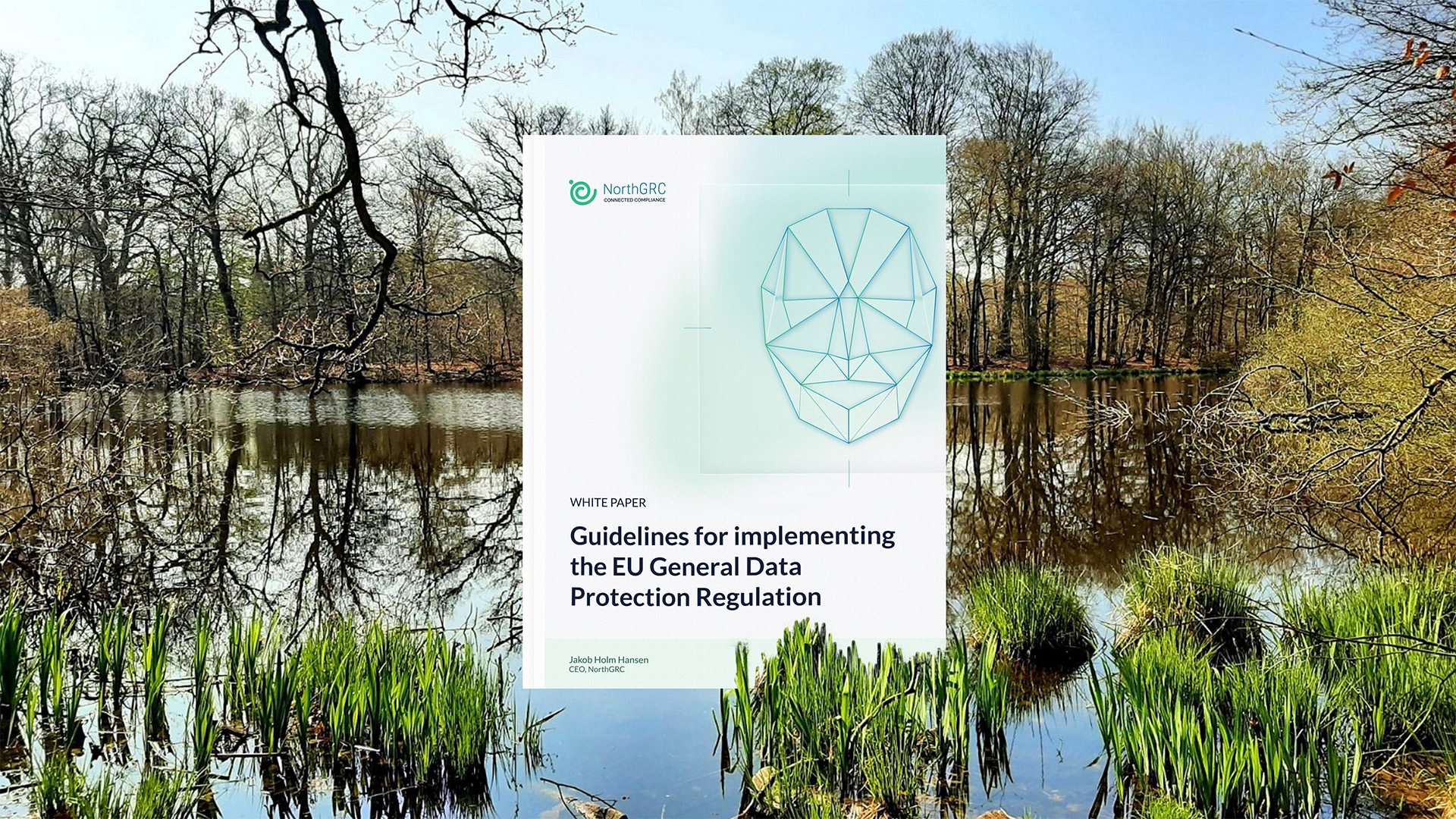 ENG_implementing GDPR